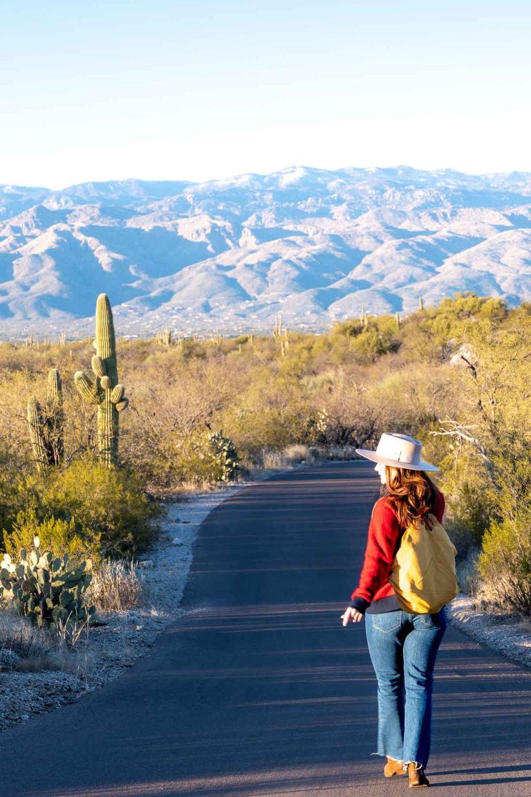 Arizona Road Trips: Planning the Ultimate Itinerary