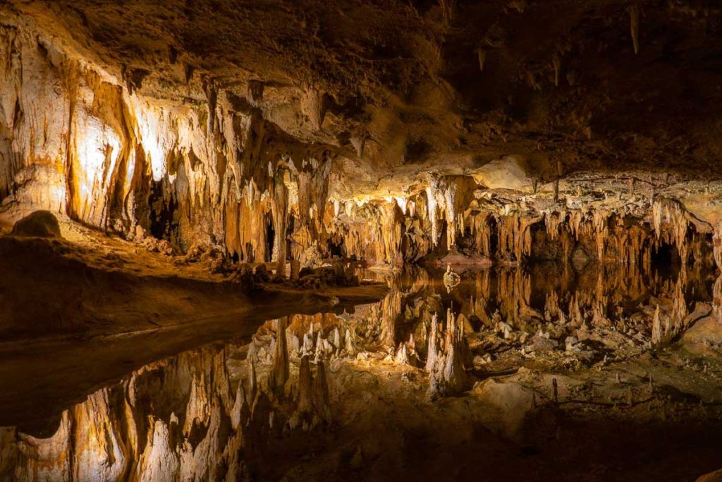 A underground cave system full of water dripping rock formations.