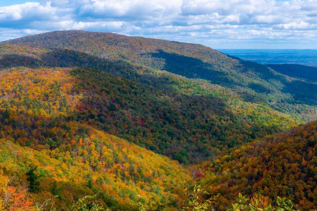A valley of colorful yellow, red, and orange fall trees.