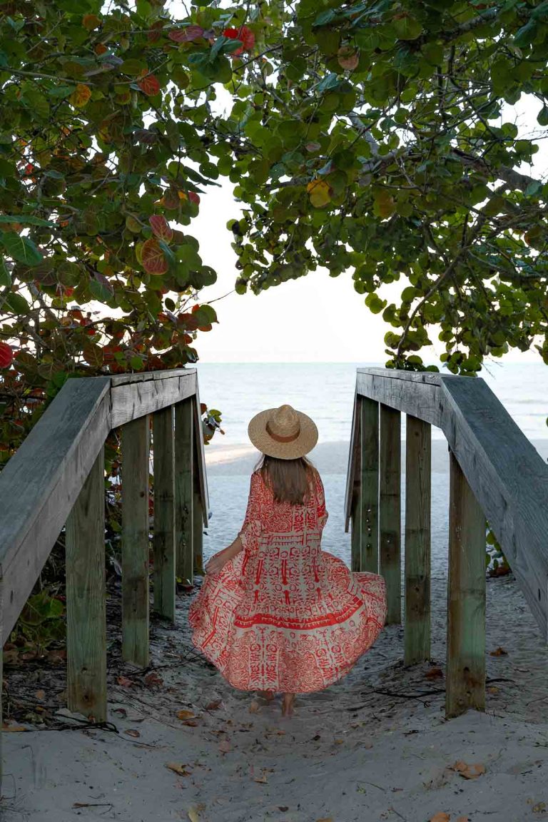 Top 7 Best Beaches To Visit In Venice, Florida