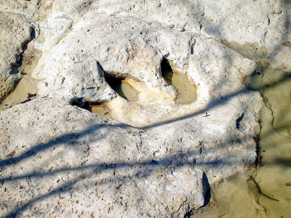 Dinosaur track fossilized in stone.