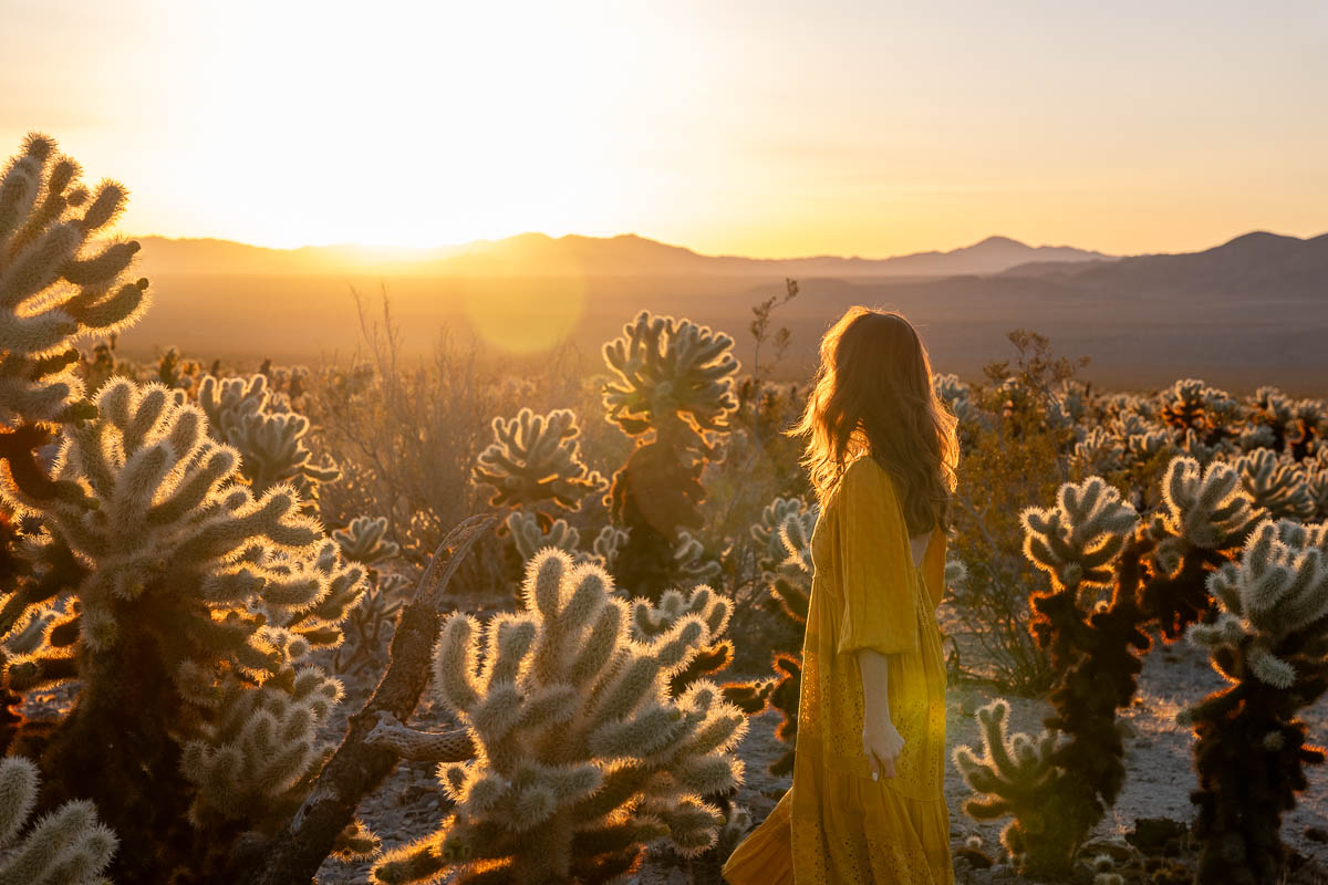 Girl in a yellow dress walking through a cactus garden at sunrise.