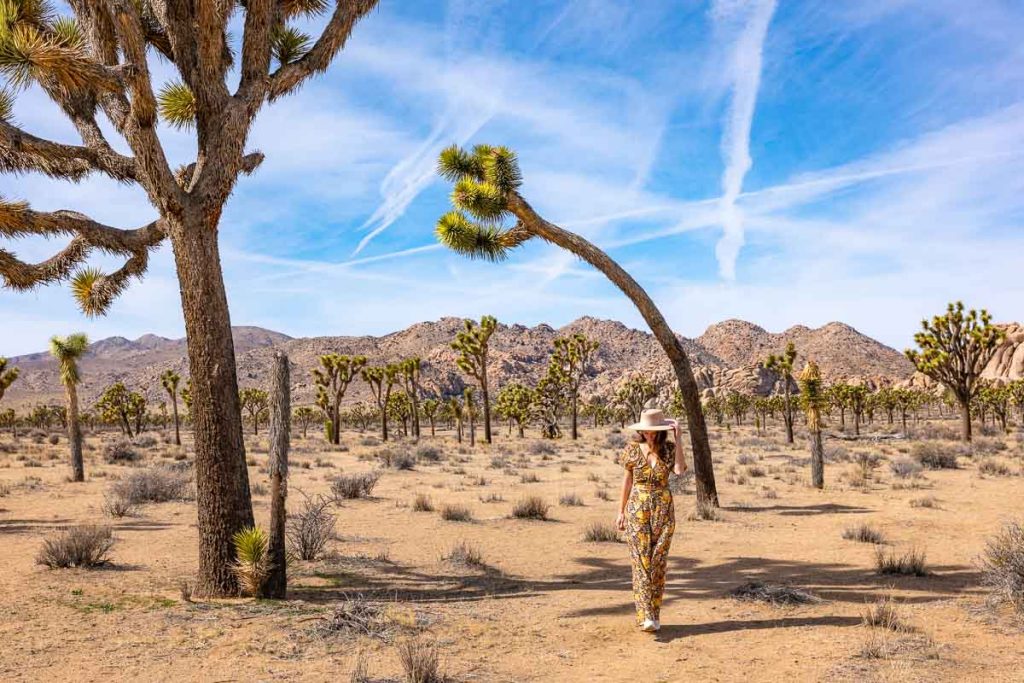 Girl walking in a desert under a Joshua Tree.